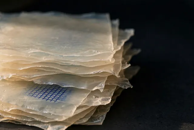 Macro illustration of stacked translucent gelatin sheets with a faint imprint showing through the upper layers, a visual metaphor for watermarks remaining detectable in a model trained on marked data.