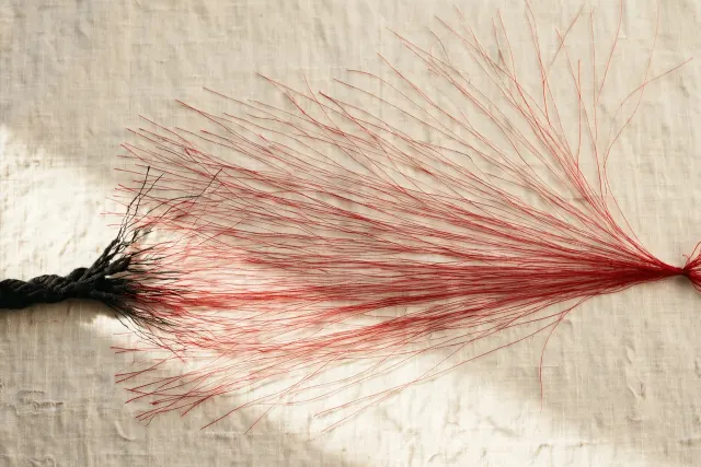 One thick black thread splitting into hundreds of fine red threads across a cream surface, an illustration of a lead agent distributing work across many sub-agents.