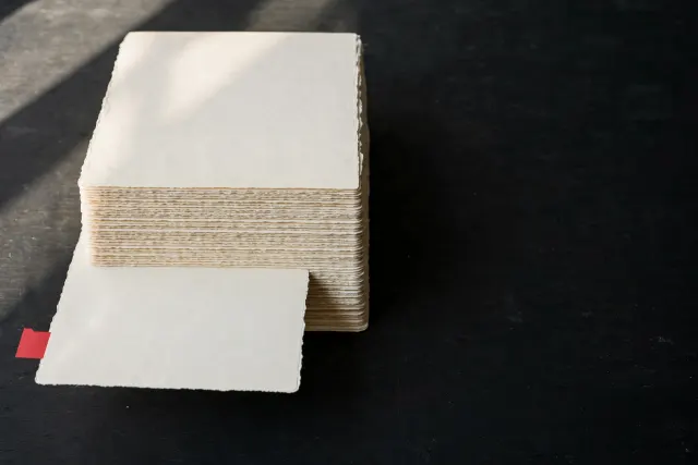 Illustration: A stack of blank journal pages with one page pulled out and flagged in red, a metaphor for systematic error-finding in research papers.