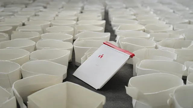 Illustration: hundreds of identical white envelopes in rows, with a single red envelope set apart in front – a metaphor for mass notification of organizations after a sweeping review.