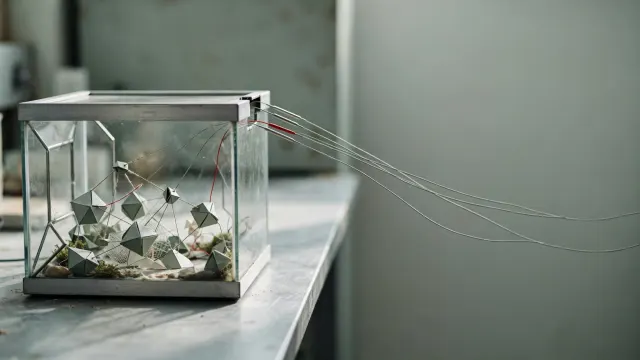 Illustrasjon: Et lukket glassakvarium med en papirmodell av et nettverk, der tynne sondearmer i metall og én rød tråd kryper ut gjennom lokket og forsvinner ut av bildet.